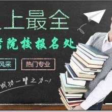 成都金牌思維 專業教育咨詢服務，點亮智慧成長之路